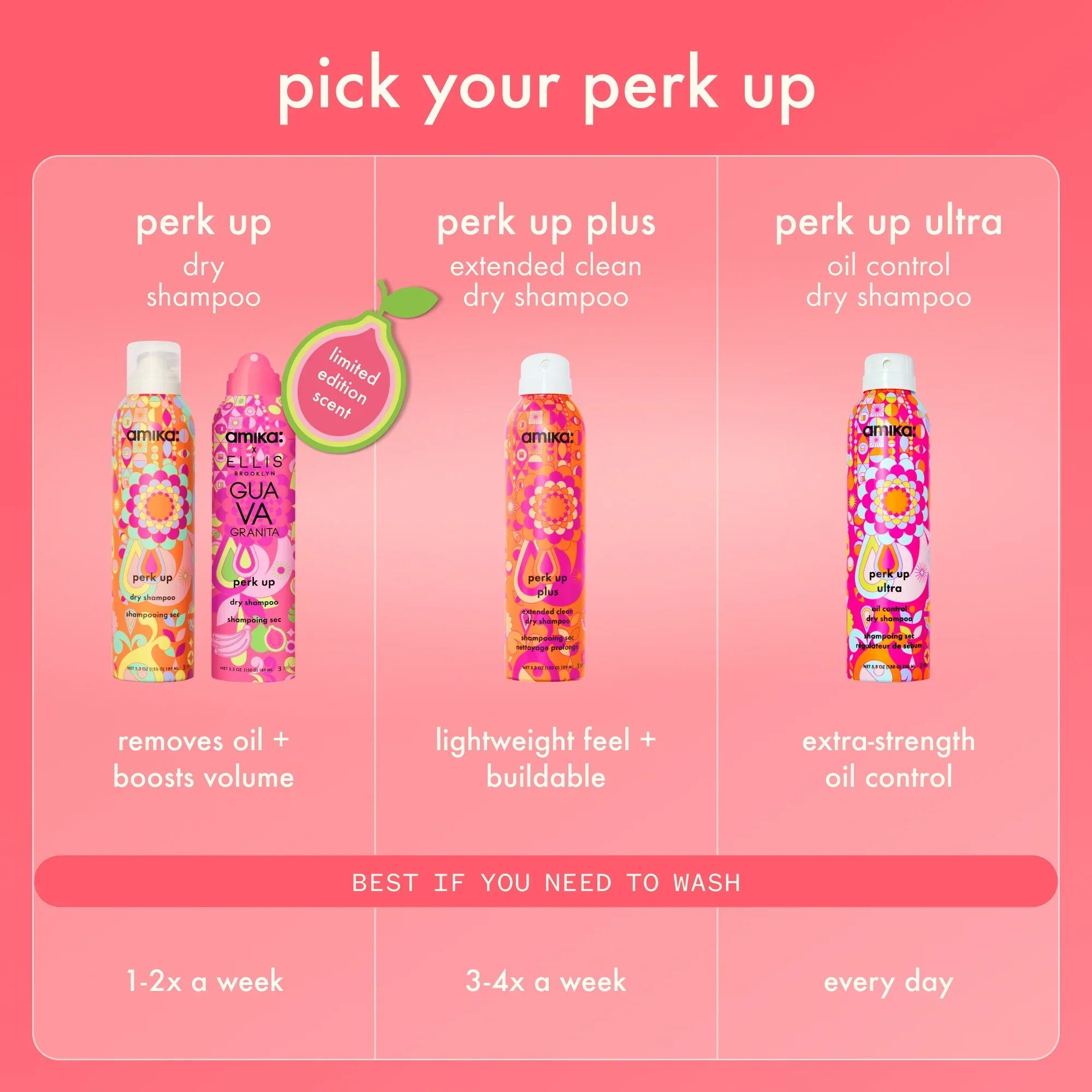 beach day besties dry shampoo duo